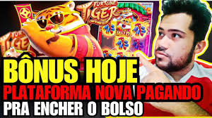 melhor horário para jogar rabbit fortune Cartaz